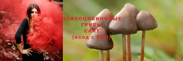 бошки Армянск