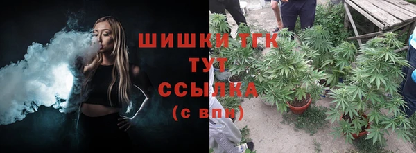 дмт Аркадак