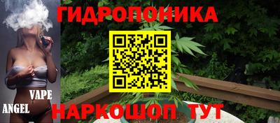 крисы Жуковский