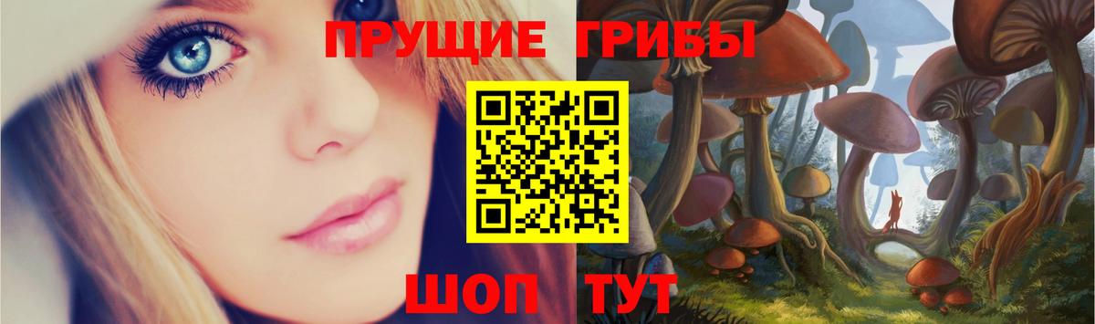 Псилоцибиновые грибы MAGIC MUSHROOMS  Псилоцибиновые грибы ЛСД  Вход с VPN  Нерюнгри 